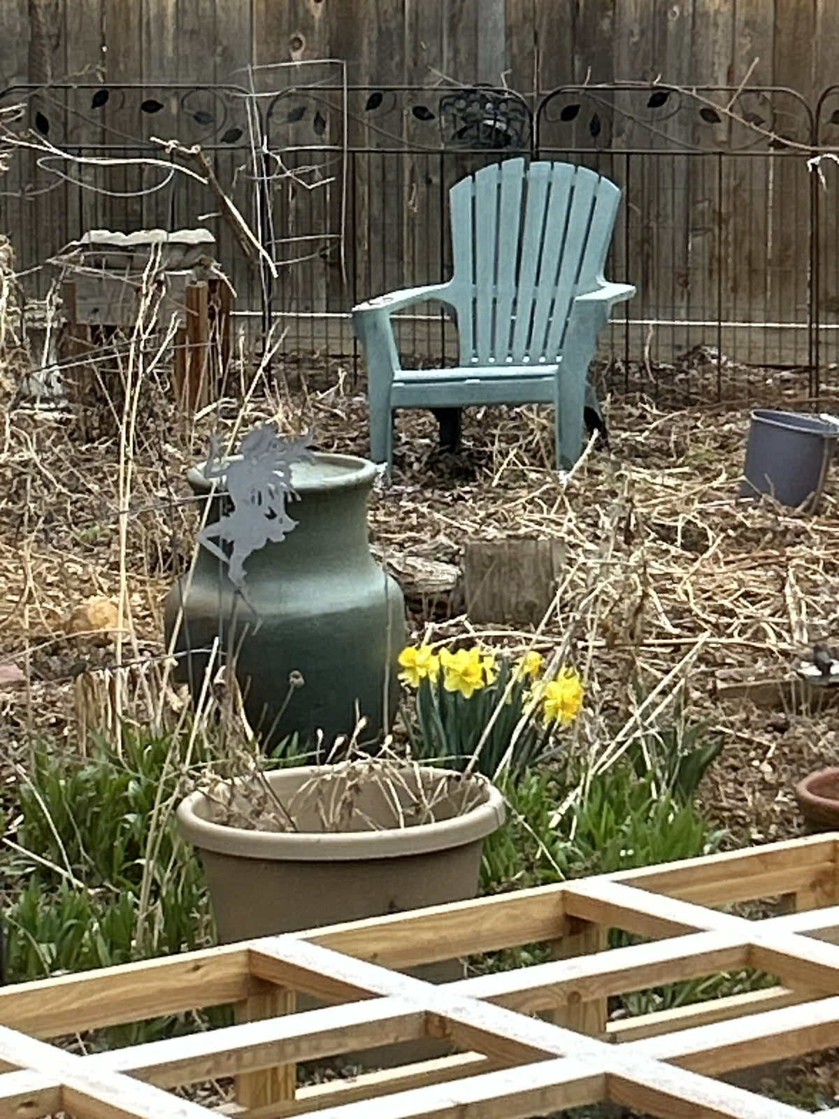 garden area with chair and pots, daffodils growing