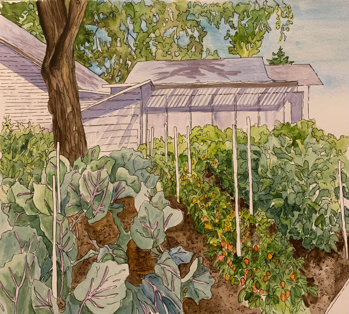 artist sketch of garden of leafy plants