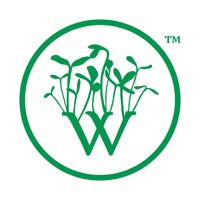 CCP alliance |Wispy Greens logo and text